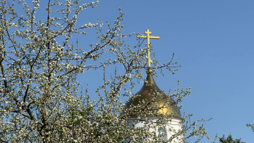 На Воскресенском кладбище возложили цветы к монументу Воин-освободитель
