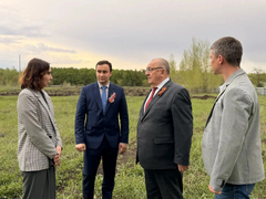 Власти Саратова откроют питомник для выращивания деревьев и кустарников