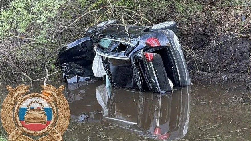 В Саратовской области Mercedes сбил лося и улетел в канаву