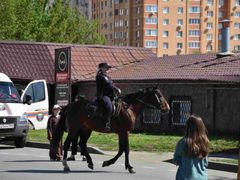 Тысячи саратовцев в День Победы почтили память героев на Соколовой горе