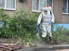 Ремонт коллектора: в Энгельсе дезинфицируют территории соцучреждений и жилых домов