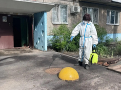 Ремонт коллектора: в Энгельсе дезинфицируют территории соцучреждений и жилых домов