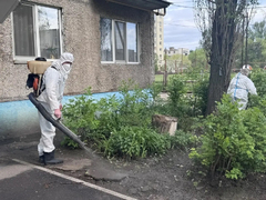 Ремонт коллектора: в Энгельсе дезинфицируют территории соцучреждений и жилых домов