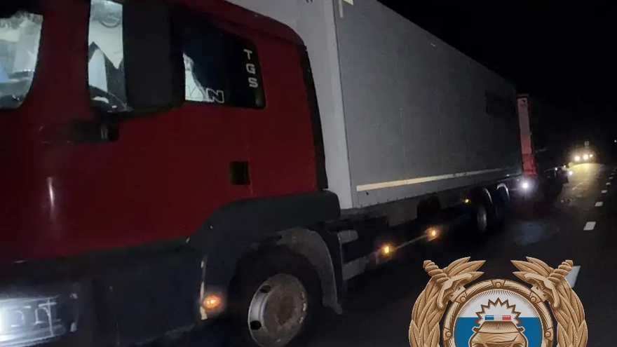 Под Саратовом фура сбила пенсионера