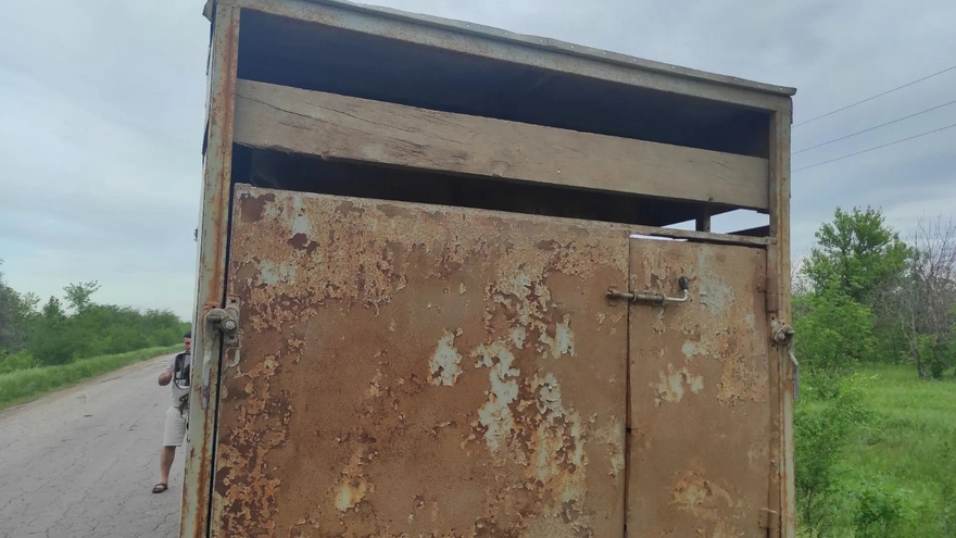 В Саратовской области по пути в Нижний Новгород перехватили овец-нелегалов