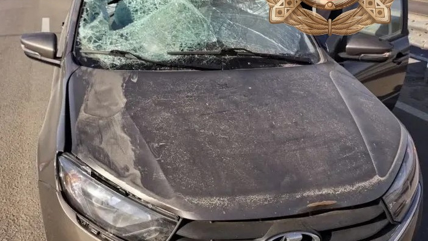 В Саратовской области трактор наехал на девочку