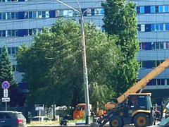 В Саратове с начала года снесли 258 нелегальных гаражей и 114 нелегальных ларьков