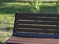 В саратовском сквере Героев Краснодона зафиксировали акт вандализма