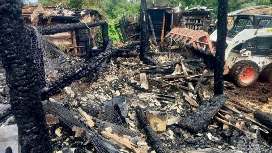 В Саратовской области в огне погибли цыплята, бык и кролики