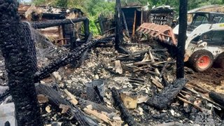 В Саратовской области в огне погибли цыплята, бык и кролики