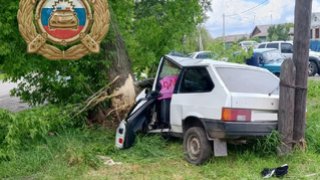 Под Саратовом мальчик получил травмы при столкновении легковушки с деревом