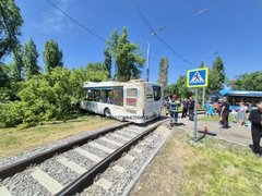 В Саратове автобус влетел в дерево: пострадали пассажиры