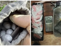 В Саратове задержан водитель-наркокурьер: он хранил синтетику под детским креслом
