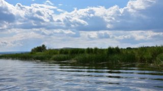 Погода в Саратовской области: жаркий вторник