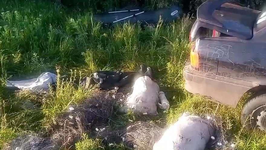 В Саратовской области поймали браконьеров с сетями и 129 кг рыбы