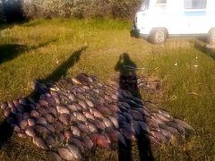 В Саратовской области поймали браконьеров с сетями и 129 кг рыбы