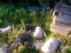 В Саратовской области поймали браконьеров с сетями и 129 кг рыбы