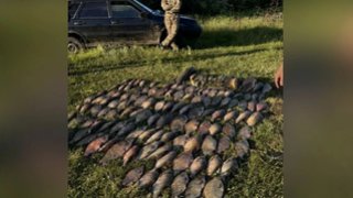 В Саратовской области поймали браконьеров с сетями и 129 кг рыбы