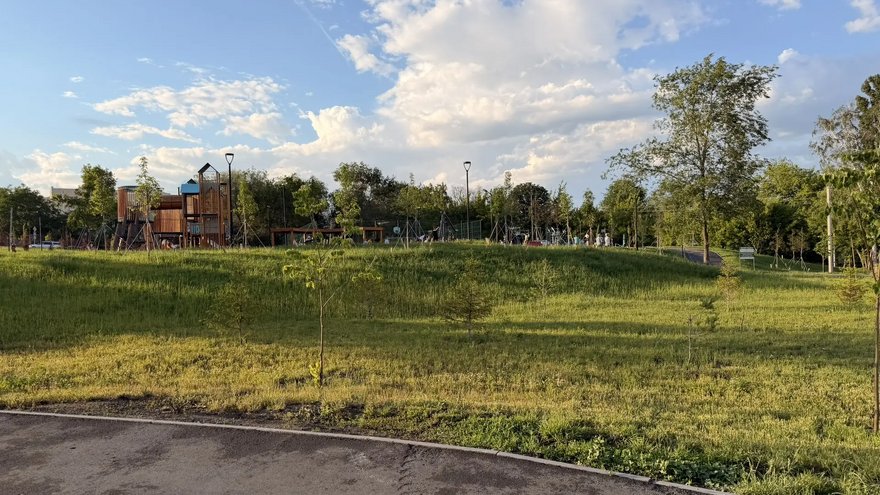 В саратовском сквере на Прессовой осенью высадят новые деревья
