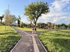 В саратовском сквере на Прессовой осенью высадят новые деревья