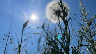 Погода в Саратовской области: пекло в четверг