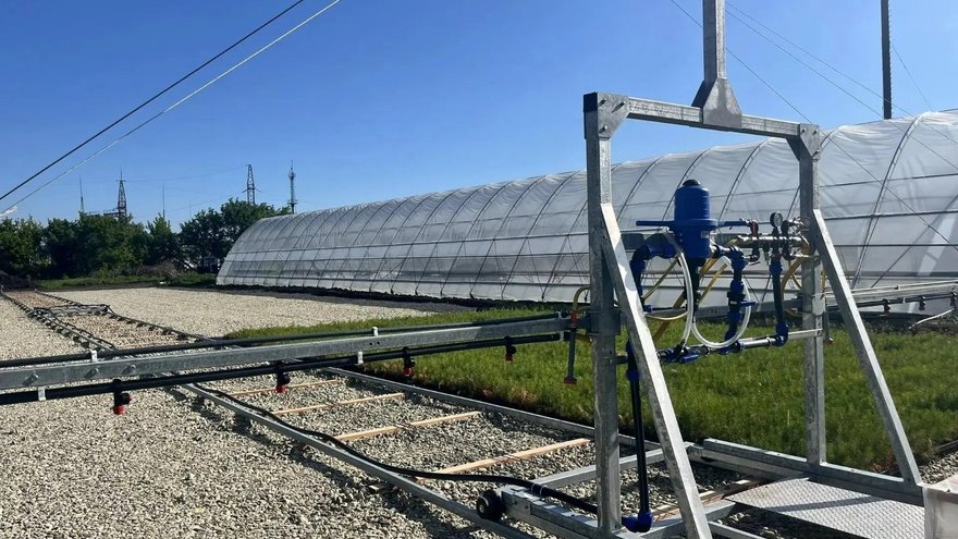 В Саратовской области высадили 1,6 тысячи гектаров лесов
