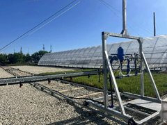 В Саратовской области высадили 1,6 тысячи гектаров лесов