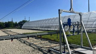 В Саратовской области высадили 1,6 тысячи гектаров лесов