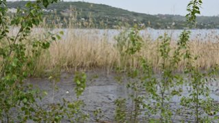 Погода в Саратовской области: сильные дожди и град