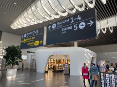 Самолет Москва–Волгоград экстренно посадили в Саратове