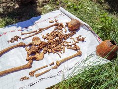 Саратовские следователи обнаружили останки красноармейцев под Воронежем