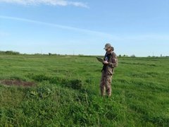 В Саратовской области нашли новые колонии сурков