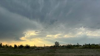 Погода в Саратовской области: дожди в среду