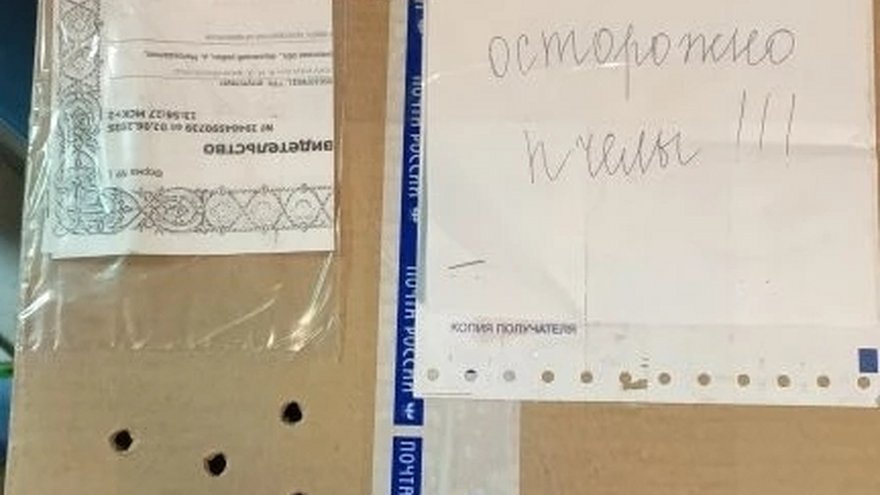 В Саратовскую область почтой доставили живых пчел