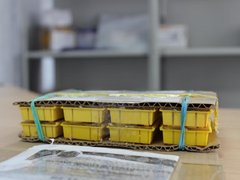 В Саратовскую область почтой доставили живых пчел
