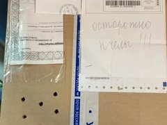В Саратовскую область почтой доставили живых пчел