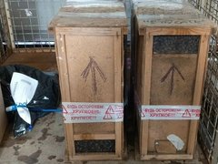 В Саратовскую область почтой доставили живых пчел