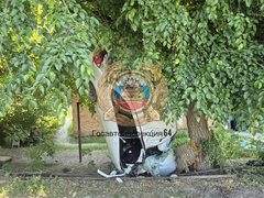 В Саратове два человека погибли во влетевшей в дерево Ладе