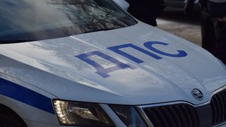 В Саратовской области поймали молодого водителя с поддельными правами