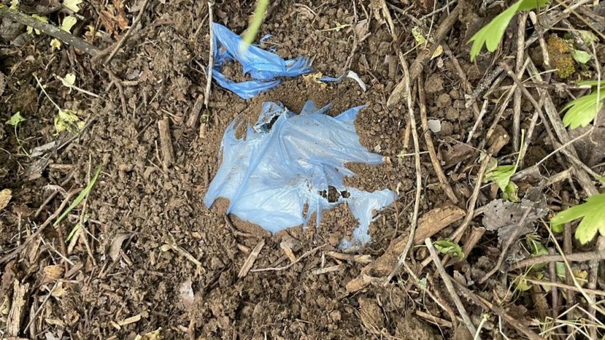 В Саратове поймали женщину-наркокурьера: она спрятала 2 кг солей под Волгоградом