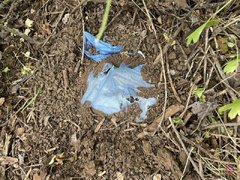 В Саратове поймали женщину-наркокурьера: она спрятала 2 кг солей под Волгоградом