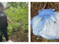 В Саратове поймали женщину-наркокурьера: она спрятала 2 кг солей под Волгоградом