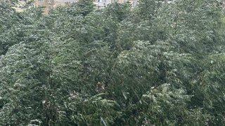 Погода в Саратовской области: облачный ветреный понедельник