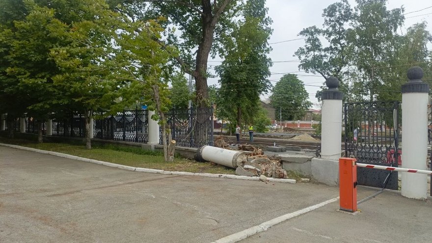 У СГУ обрушилась часть ограды