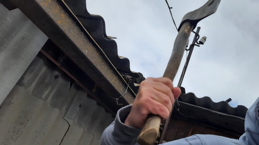 Топором по ягодицам, кулаком по лицу: городского тирана осудили за насилие над женщиной
