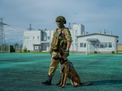 Самая длинная лестница в Балаково и секреты охраны АЭС: как спасатели обеспечивают безопасность станции