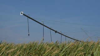 Саратовмеливодхоз уличили в нарушении закона при орошении земель