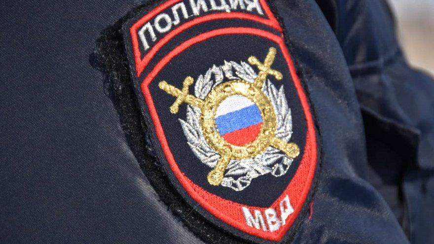 В Саратове девушку обвиняют в вовлечении 13‑летней в кражу
