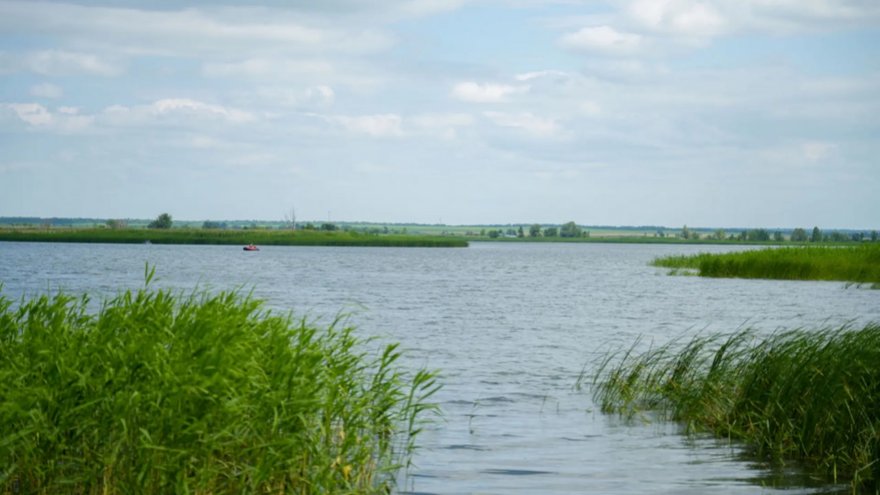 Балаковская АЭС выпустила в Саратовское водохранилище более 73 тысяч молоди стерляди