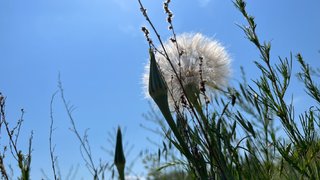 Погода в Саратовской области: в субботу ожидается 35-градусная жара